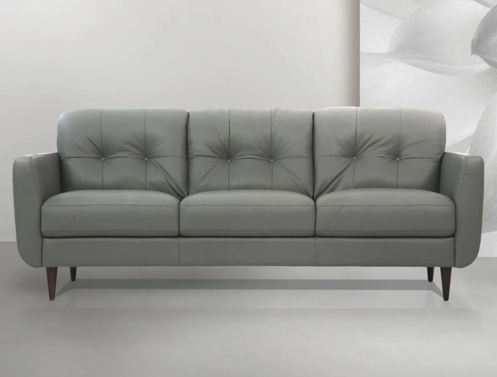 Acme 54960 Radwan Sofa - Presto Leather